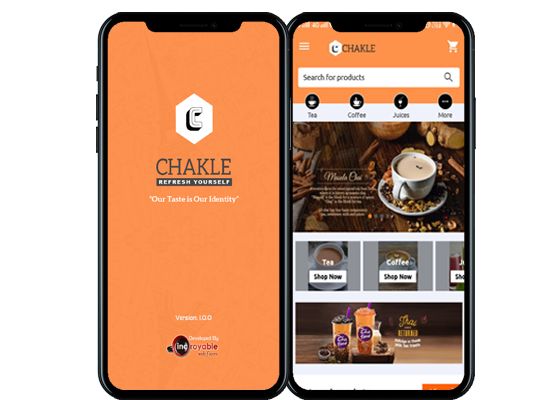 incroyable web fixers creative work portfolio